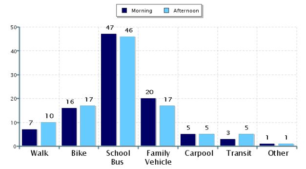 Travel survey chart example