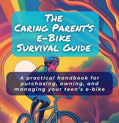 Front-cover-Parents-Survival-Guidev2(1)