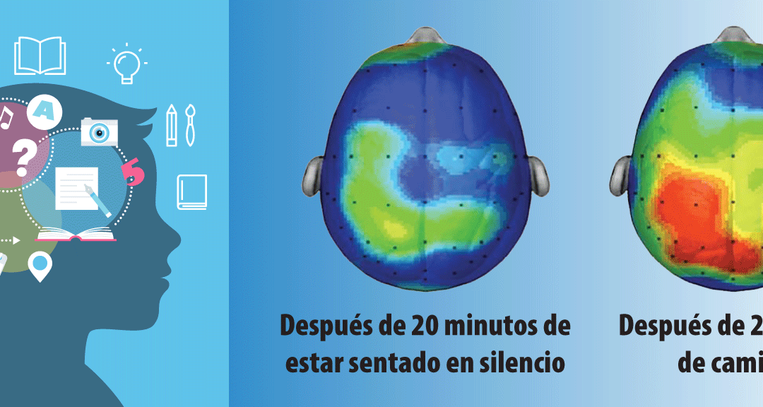 SR2S Boletín Primavera de 2024